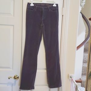 CBLUE grey Velvet Jeans 4, beautiful for holidays